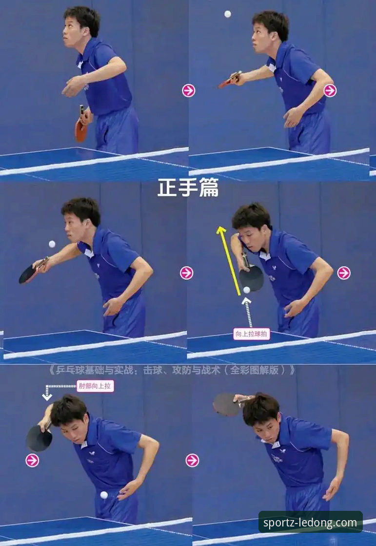 如何在乐动体育平台看懂中国男乒的硬仗？从这场3-0看关键战术